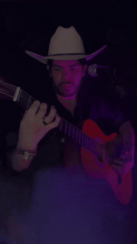 Viola Cantor GIF by Dalvan Ferraz