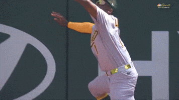 Sport Baseball GIF by MLB