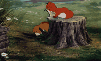 the fox and the hound GIF by Disney