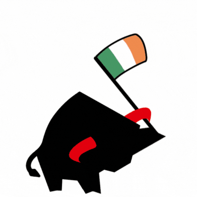 Flag Ireland GIF by PREFA
