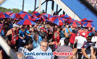 Ciclon Casla GIF by San Lorenzo Primero