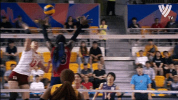 Vamos Lets Go GIF by Volleyball World
