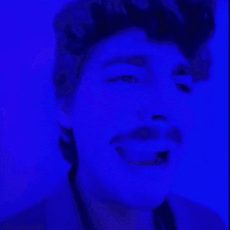 Cat Wtf GIF by Airlearn