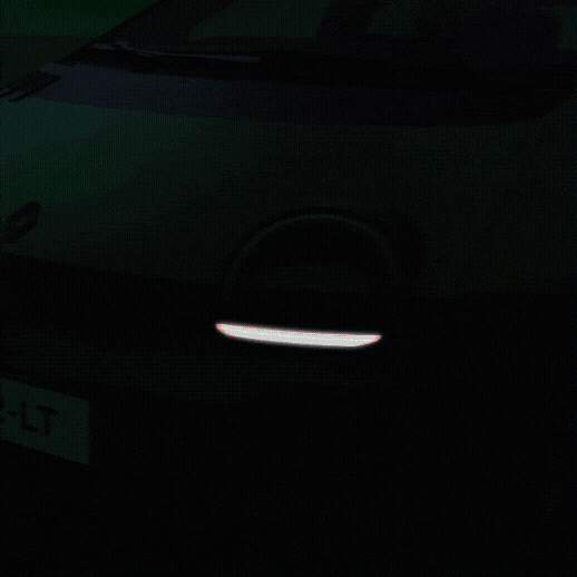 Car Frog GIF by Renault