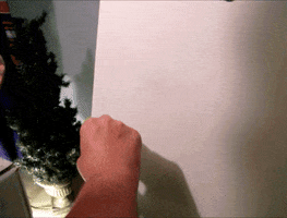 Art Artist GIF by ODE Willie's Funky Bunch