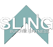 Fitness Bungeefitness Sticker by Sling Bungee