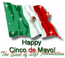 Cinco De Mayo Mexico GIF by The SOL Foundation