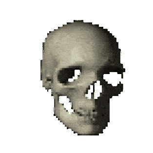Meme Sticker