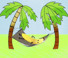 Happy Palm Tree GIF by GT8Studios
