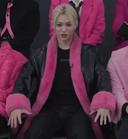 Stray Kids GIF