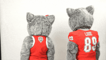 New Mexico Lucy GIF by UNM