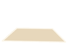 Carpet Rug Sticker