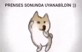 Gunaydin GIF