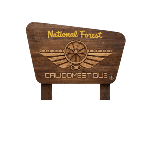 Calidomestique Sticker
