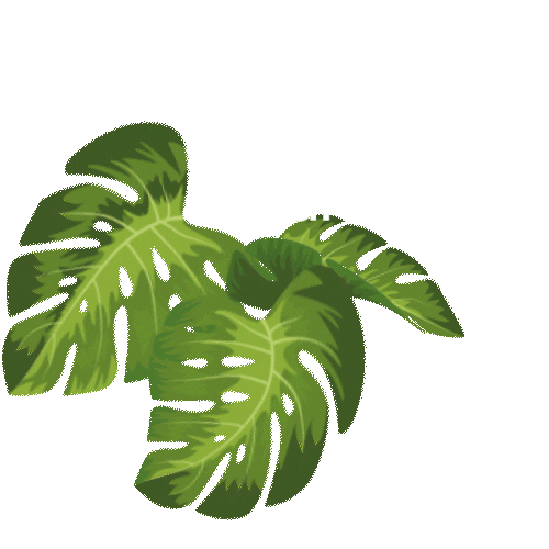 Naturaleza Sticker by Natura Cosmeticos