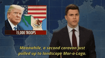 Trump GIF by Saturday Night Live