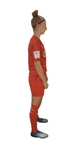 Schanzerinnen Sticker