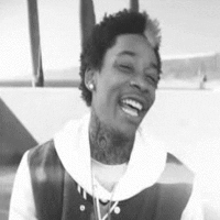 Rolled Up Gifs Get The Best Gif On Giphy