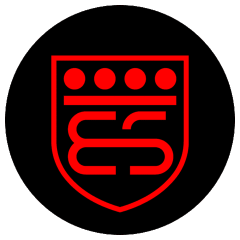 Brixiasupercars Sticker