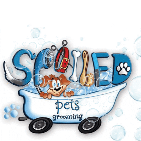 GIF by Tzoi Manousou