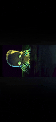 Scared Guy Film GIF