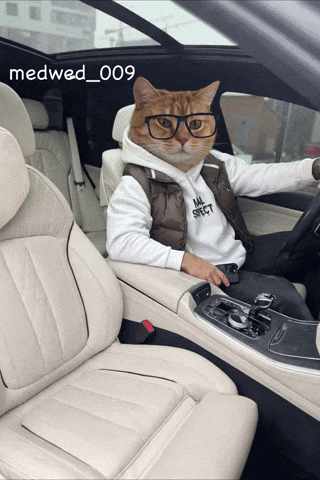 Medwed009 GIF