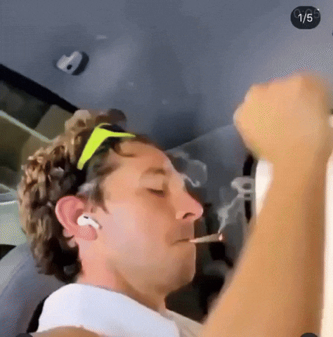 Shia Lebouf Weed GIF