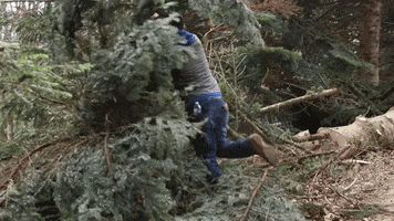 Pine Tree Dirt Work GIF by JC Property Professionals