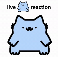 Spainnubcat GIF