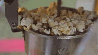 dielinkesachsen popcorn 2014 sachsen wahlkampf GIF