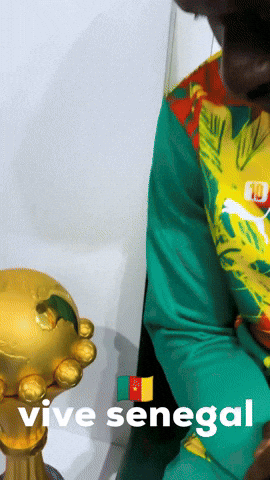 African Senegal GIF
