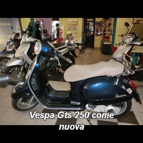 silviabonasegalecamnasio  GIF