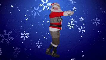 Santa Claus Christmas GIF by Karl's Bait & Tackle's Bait & Tackle