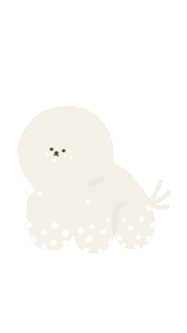 Snow Bichon Sticker