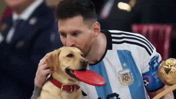 Messi GIF