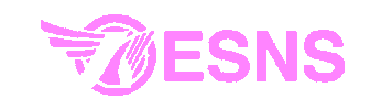 Festival Netherlands Sticker by ESNS