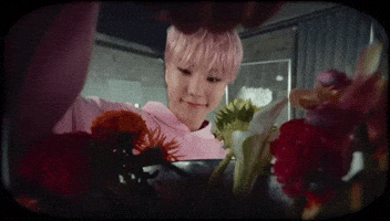 Hoshi GIF