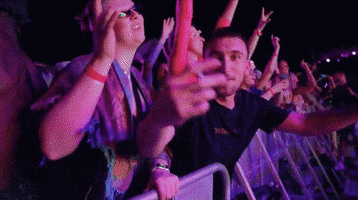 Party Festival GIF by POSH