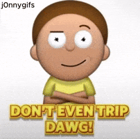 Dont Even Trip Dawg GIF