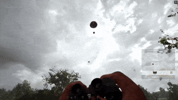 Ww2 GIF