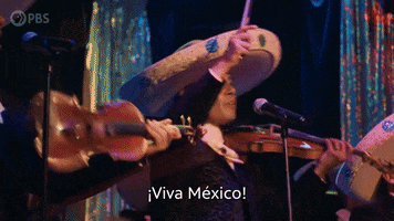 Viva Mexico Arts GIF by PBS