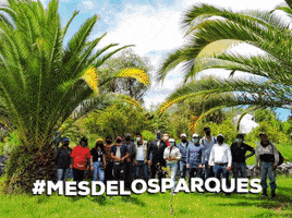 Mesdelosparques GIF