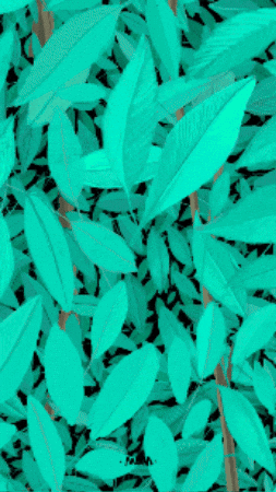 Primavera GIF
