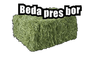 Beda Pres Bor Sticker