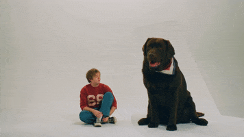 Music Video Dog GIF by Dayglow