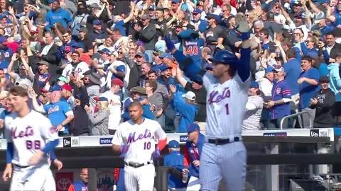 New York Mets Dancing GIF
