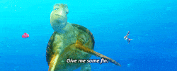 has finding dory GIF