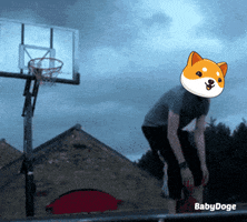 Fail Lets Go GIF by Baby Doge Coin