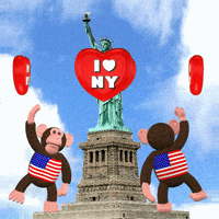 New York America GIF