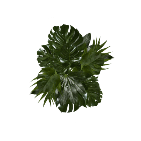 Animated Sticker